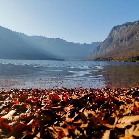 Apartment Korosec Matej Bohinj Dış mekan fotoğraf