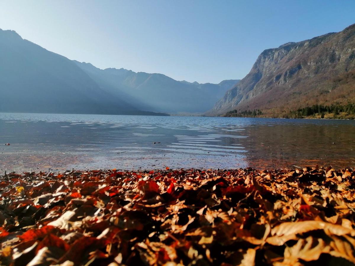 Apartment Korosec Matej Bohinj Dış mekan fotoğraf