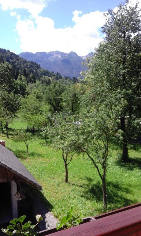 Apartment Korosec Matej Bohinj Dış mekan fotoğraf