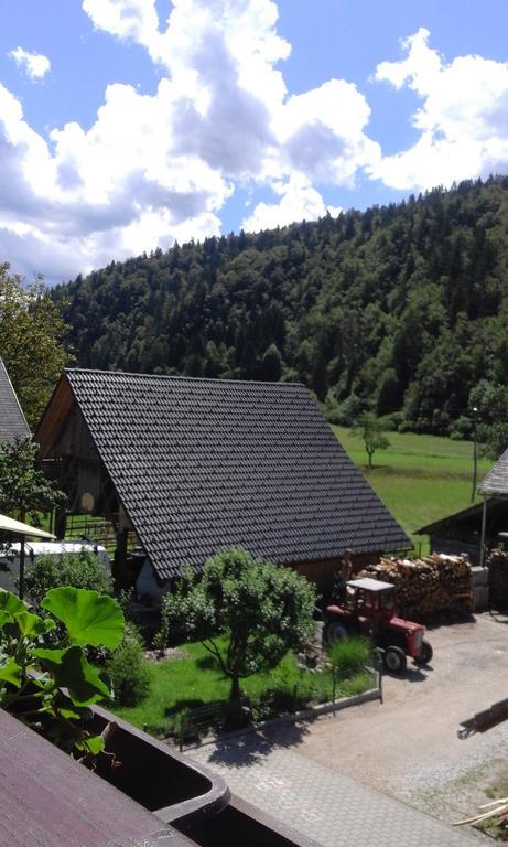 Apartment Korosec Matej Bohinj Dış mekan fotoğraf